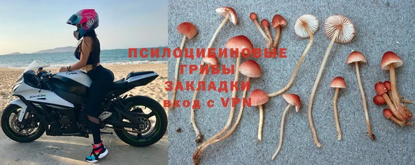 молекула духа Алзамай