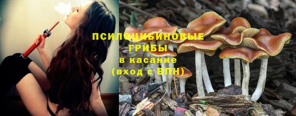 мет Аркадак