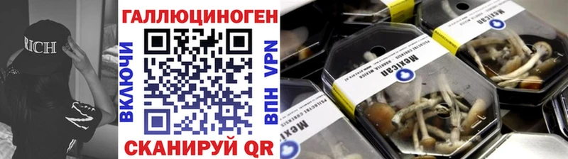 blacksprut зеркало  Гдов  Галлюциногенные грибы Psilocybine cubensis 